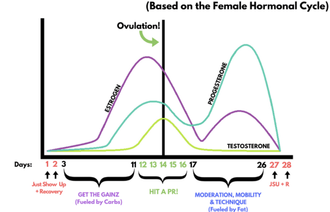 juno cycle